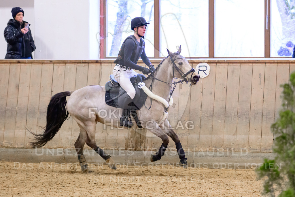 29032026-Schwaiganger-Prfg01-288 | Fokus Hufschlag Fotografie - Realisiert mit Pictrs.com