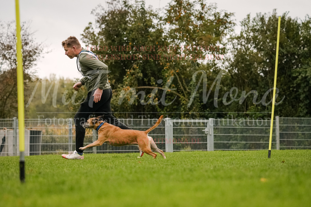 20251005_THS_Turnier-459 | MuT (Mensch und Tier) mit Mona - Fotografie und Tierkommunikation - Realisiert mit Pictrs.com