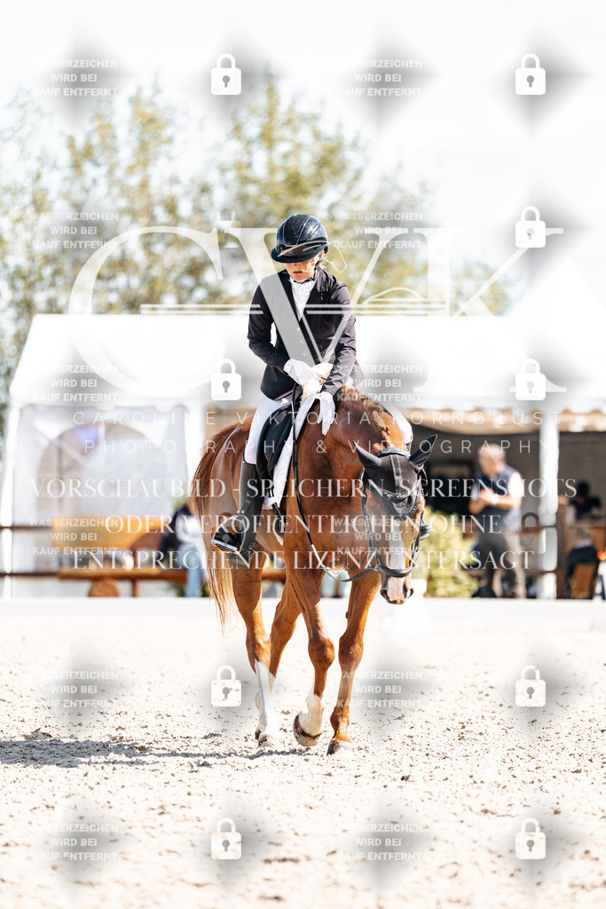 CK902891 | Turnierfotografie Pferdefotografie Trier Rheinland-Pfalz Pferdesport Reitsport Tierfotografie Sportfotografie Pferdevideo Pferdevideografie Equestrianvideography equestrianphotography  - Realisiert mit Pictrs.com