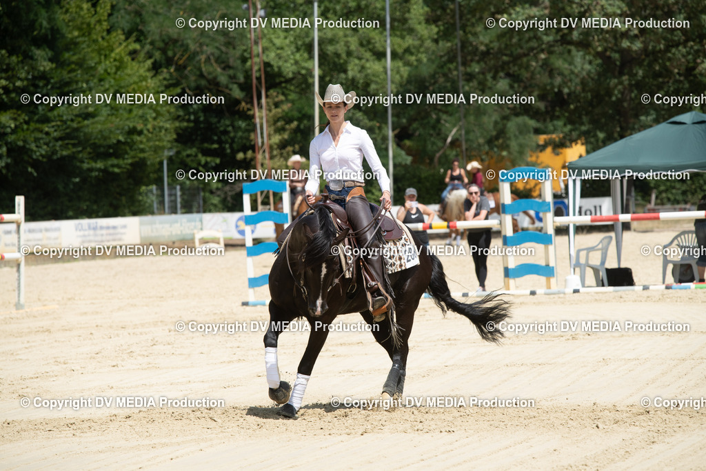 ZS3_9994 | dv-media-shop - Realisiert mit Pictrs.com