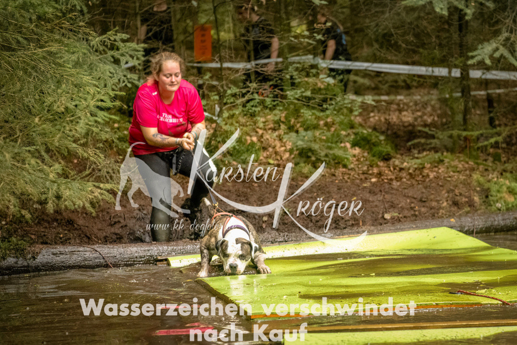1425_ZZ92302-Bearbeitet | kk-dogfotos