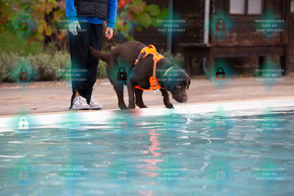 _HP_7563_1000o | HetPix, HetPix Fotodesign, Fotografie, Fotodesign, Webshop, Sportfotografie, Portraitfotografie, Onlineshop, Sportfotografie, Polch, Motorsportfotografie, Eventfotografie