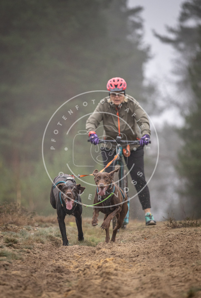 Pfotenfotografie_DV3A1124 | Hundefotografie, Tierfotograf, Pfotenfotografie, Fotoshooting Hund, Hunde Portrait, Hundesport, Hundeportraits, Heideshooting, Hunde, Sportfotograf, Hundefotograf, Turnierhundsport, THS,  - Realisiert mit Pictrs.com