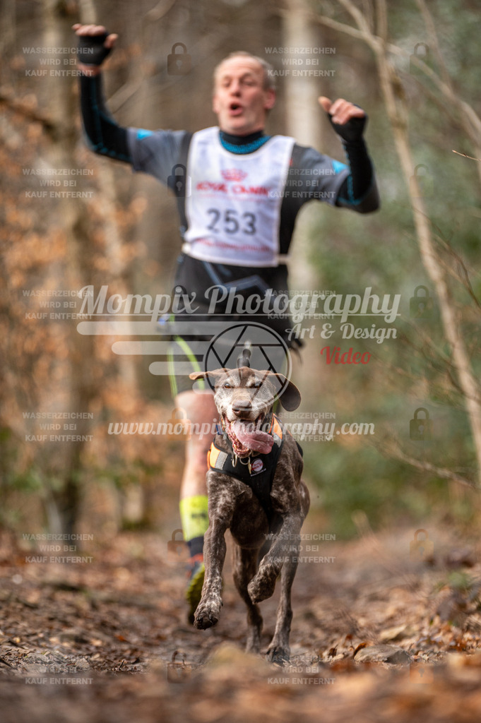 SPA_2023_DIM_CCK-4 | PayLife