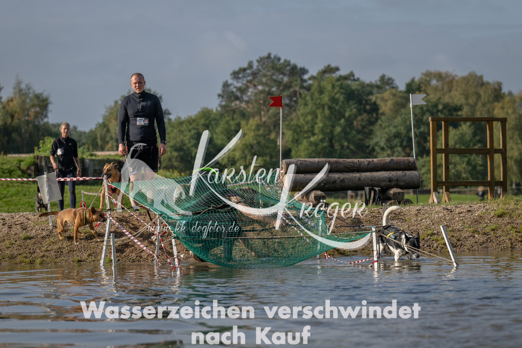1108_ZZ91672 | kk-dogfotos
