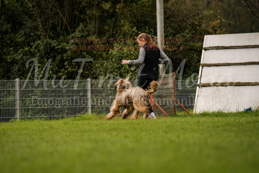 20251005_THS_Turnier-637 | MuT (Mensch und Tier) mit Mona - Fotografie und Tierkommunikation - Realisiert mit Pictrs.com
