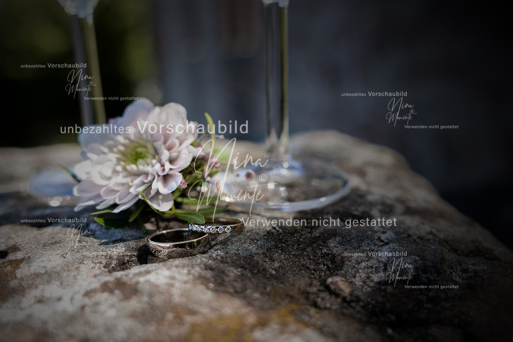 _16A9417-1 | Einzigartige Fotos von Hunden & Menschen –Actionfotos, Portraits, Vereinsaufnahmen & Paarshootings – authentisch, lebendig & mit Herz.