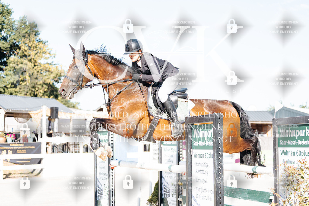 CK904116 | Turnierfotografie Pferdefotografie Trier Rheinland-Pfalz Pferdesport Reitsport Tierfotografie Sportfotografie Pferdevideo Pferdevideografie Equestrianvideography equestrianphotography  - Realisiert mit Pictrs.com
