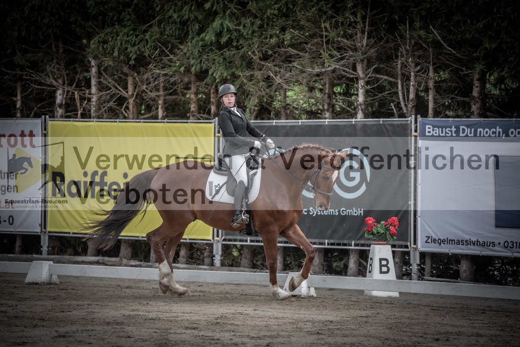 DSC_8895 | equestrian-live-com