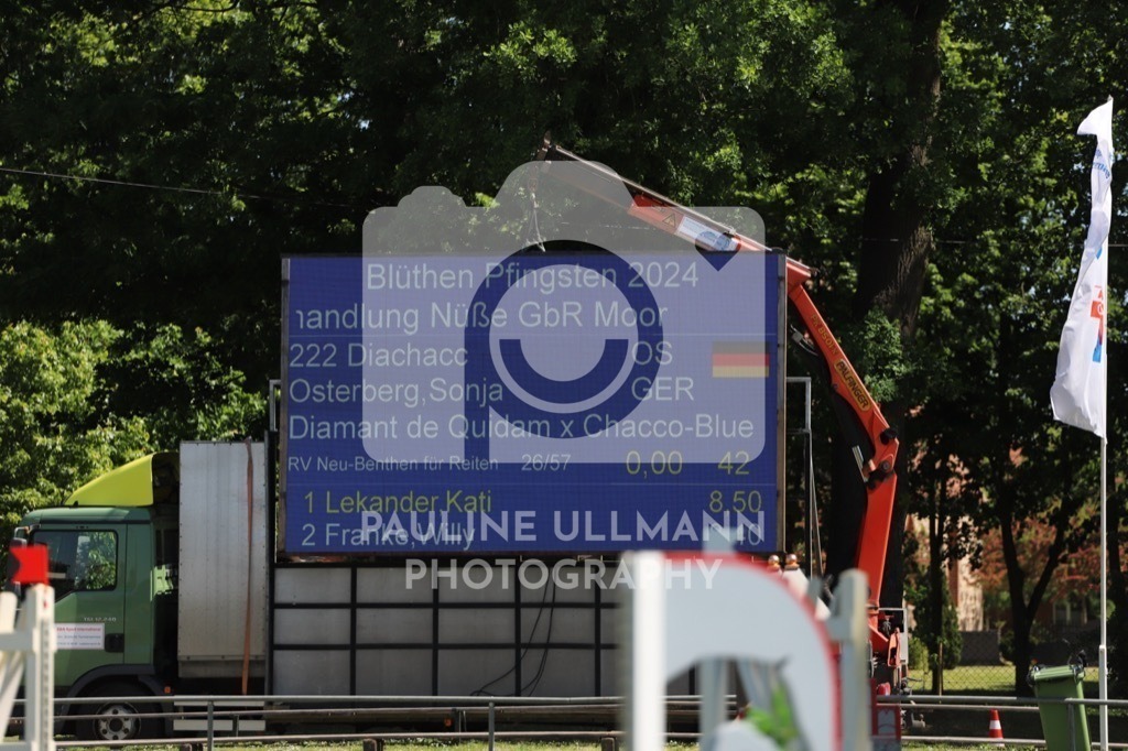 IMG_6190 | Pauline Ullmann Photography - Realisiert mit Pictrs.com