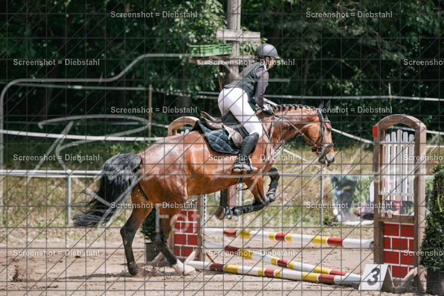 _W6A2564 | ronjaprokoschfotografie - Realisiert mit Pictrs.com