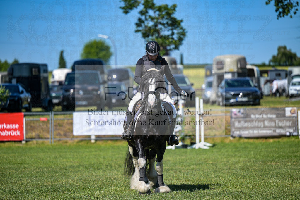 Reitturnier Voxtrup | Entdecke hochwertige Reitturnierfotos von Foto Oger. Professionell, emotional und authentisch – jetzt Lieblingsmomente im Shop bestellen.Deutschlandweite Turnierfotografie. - Realisiert mit Pictrs.com