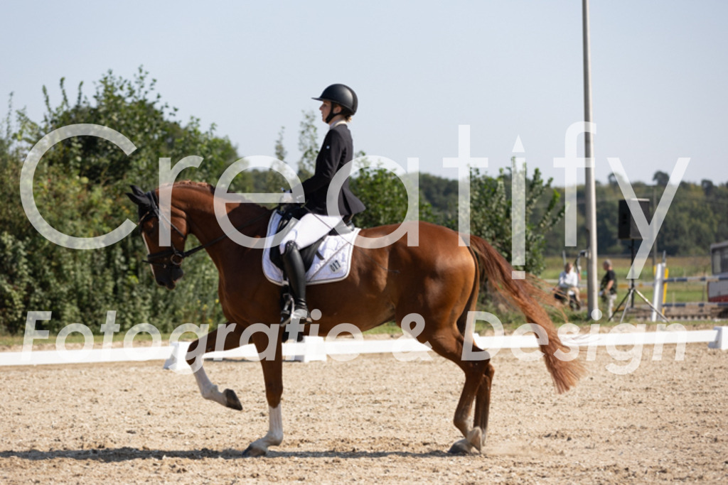 IMG_5534 | Creatify Fotografie