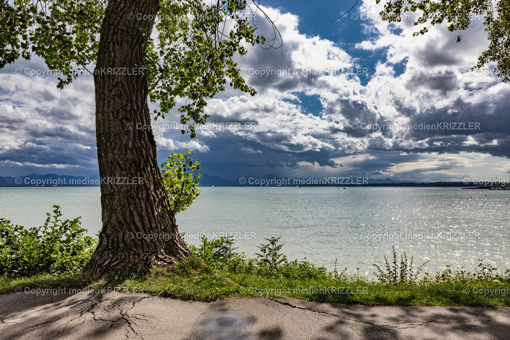 _J3A1967 | medienkrizzler - Realisiert mit Pictrs.com