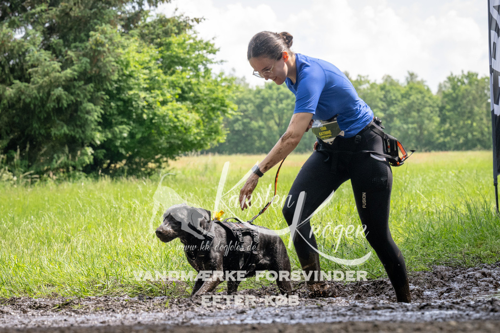 1148_ZZ94603 | kk-dogfotos