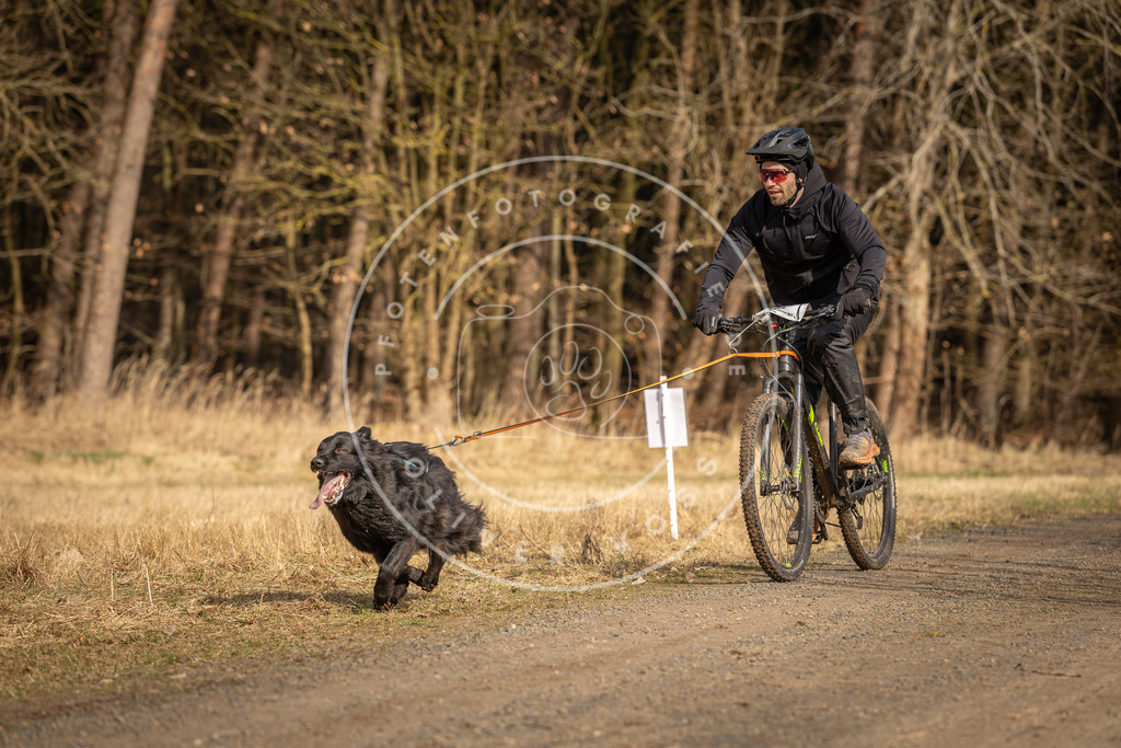 DV3A4398 | Hundefotografie, Tierfotograf, Pfotenfotografie, Fotoshooting Hund, Hunde Portrait, Hundesport, Hundeportraits, Heideshooting, Hunde, Sportfotograf, Hundefotograf, Turnierhundsport, THS,  - Realisiert mit Pictrs.com