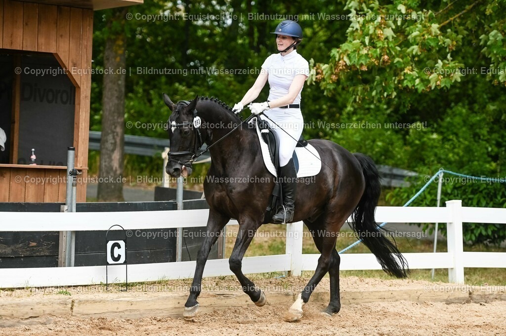 20230715_05_Dressurprüfung Kl.A++_0279 | equistock