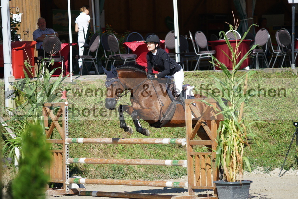 DSC02317 | equestrian-live-com