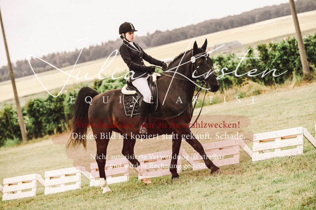 DSC_4964 | Pferde- und Turnierfotografie in Westsachsen. Pferdeportraits, Auftragszeichnungen und intuitive Kunst.