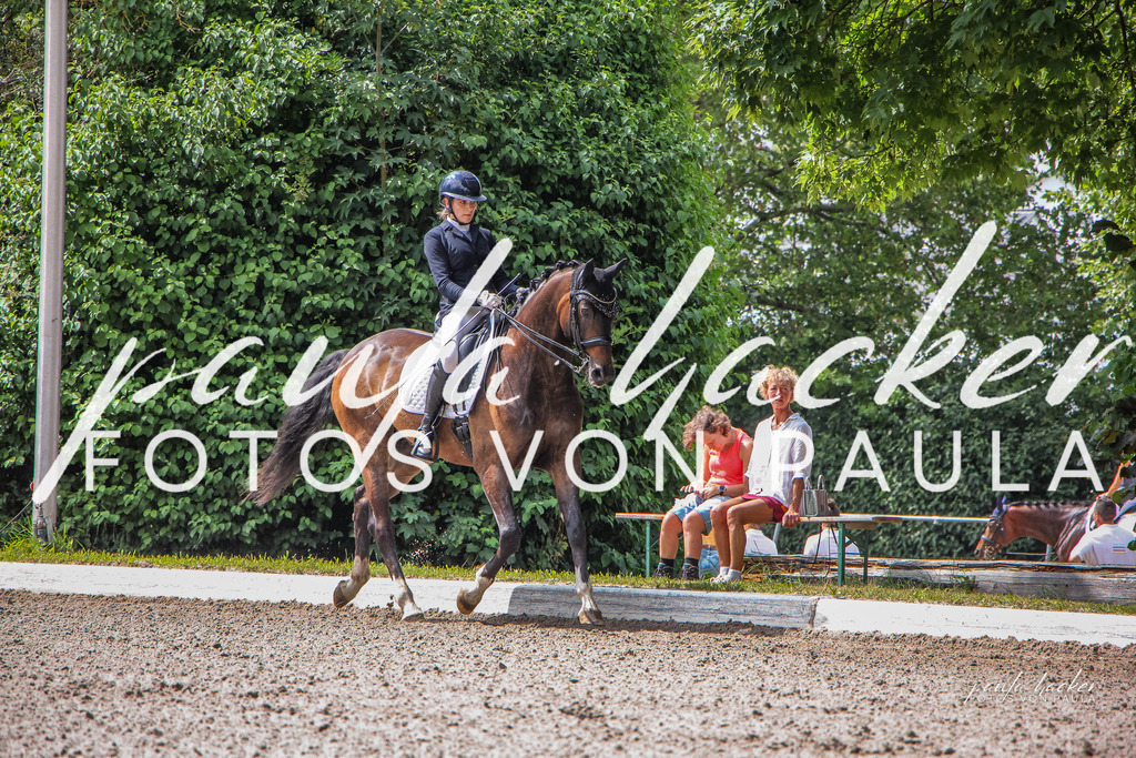 IMG_8800 | Erleben Sie dynamische Sport- und emotionale Tierfotografie in Süddeutschland mit Fotos von Paula. Spezialisiert auf Pferde- und Hundefotografie sowie Sportevents. Kontaktieren Sie mich für einzigartige und ausdrucksstarke Bilder Ihrer besonderen Momente. - Realisiert mit Pictrs.com
