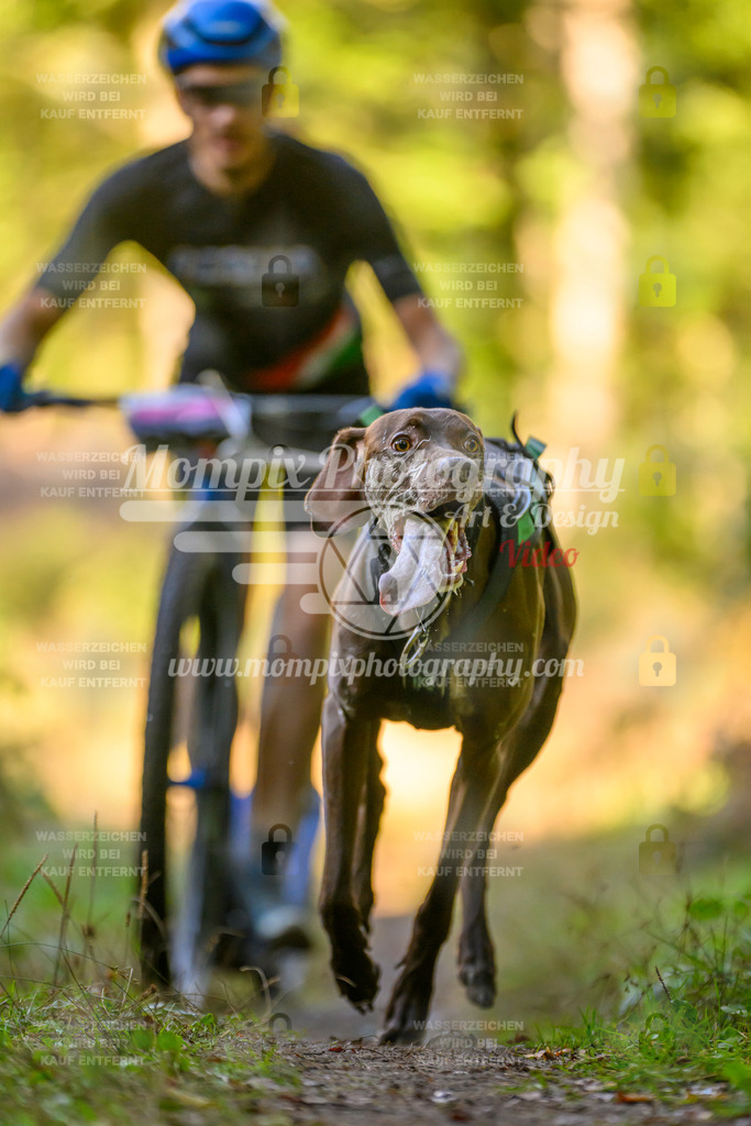 MompixPhotography_Yens2025_B3-162 | PayLife