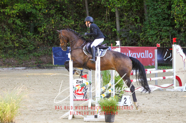 DKP42810 | Turniersportfotografie; Pferdefotografie; Dressurfotografie