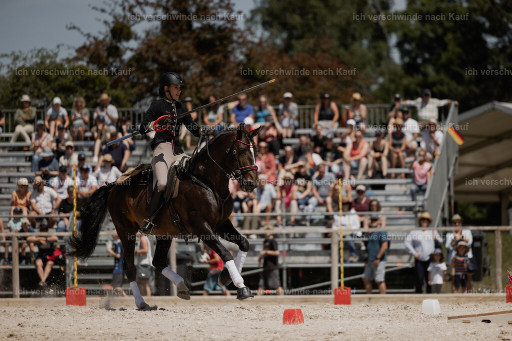 WE_SP_Stoib_330_PI2025_1993 | Pferd International München 2025