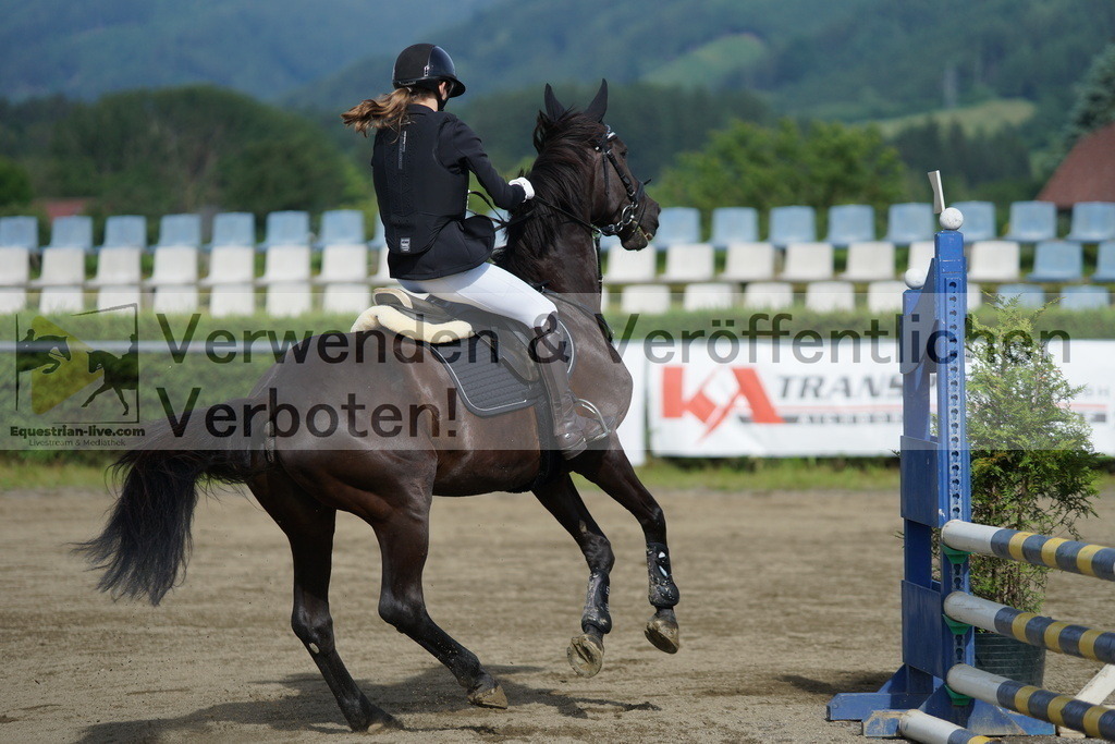 DSC04568 | equestrian-live-com