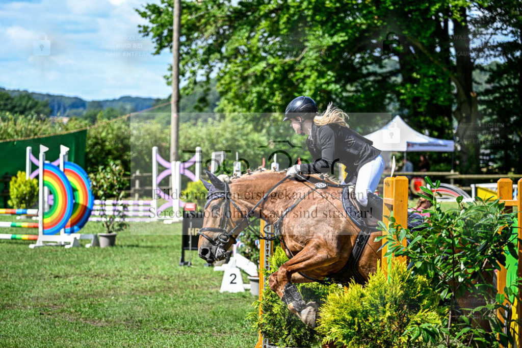 Bissendorfer Reitertage | Entdecke hochwertige Reitturnierfotos von Foto Oger. Professionell, emotional und authentisch – jetzt Lieblingsmomente im Shop bestellen. - Realisiert mit Pictrs.com