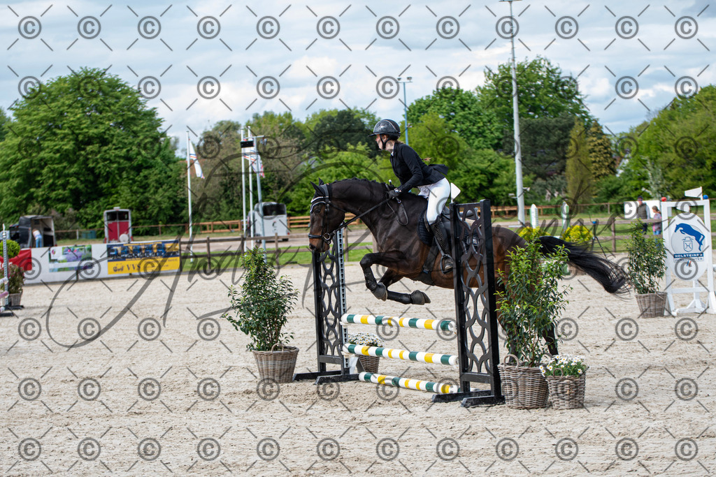 KPT_6517 | andre_photographic