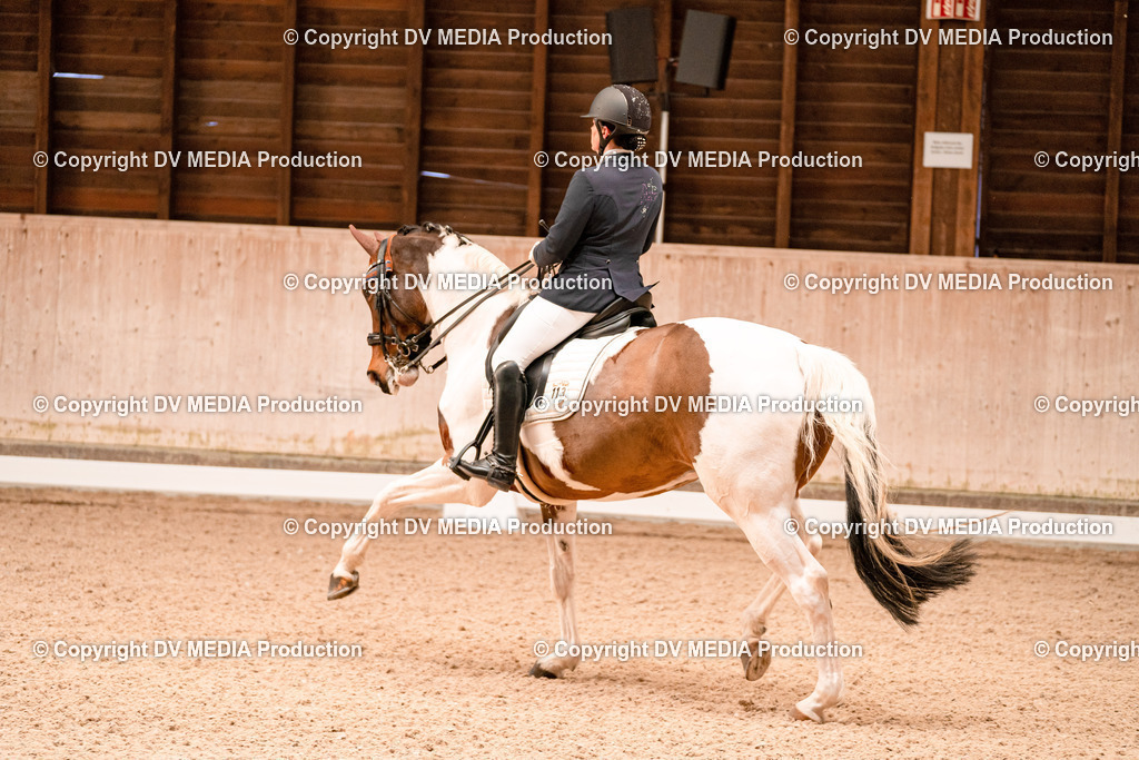 Dressur Tag 1 -192 | dv-media-shop - Realisiert mit Pictrs.com