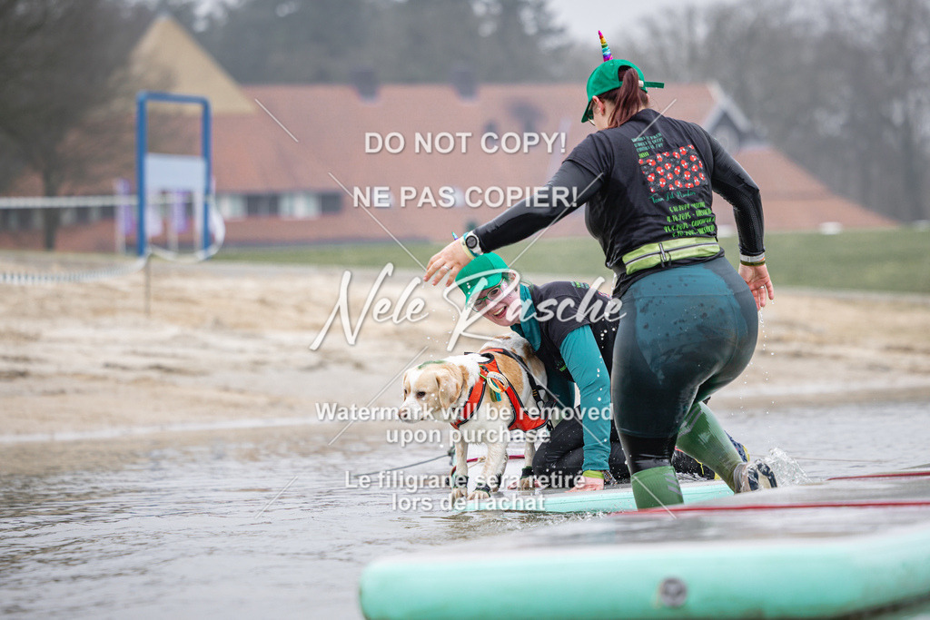 nelerasche_Hulsbeek_Sa0845-1030_497 | nelerasche