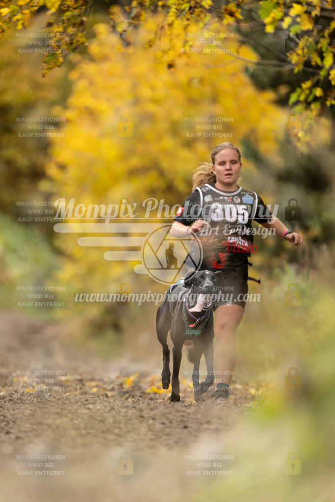 MompixPhotography_ICF_WC_2024_SA_Run_-156 | PayLife