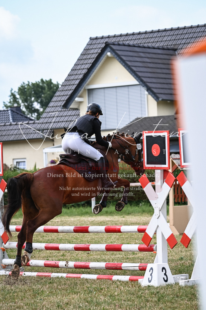 DSC_8197 | Pferde- und Turnierfotografie in Westsachsen. Pferdeportraits, Auftragszeichnungen und intuitive Kunst.