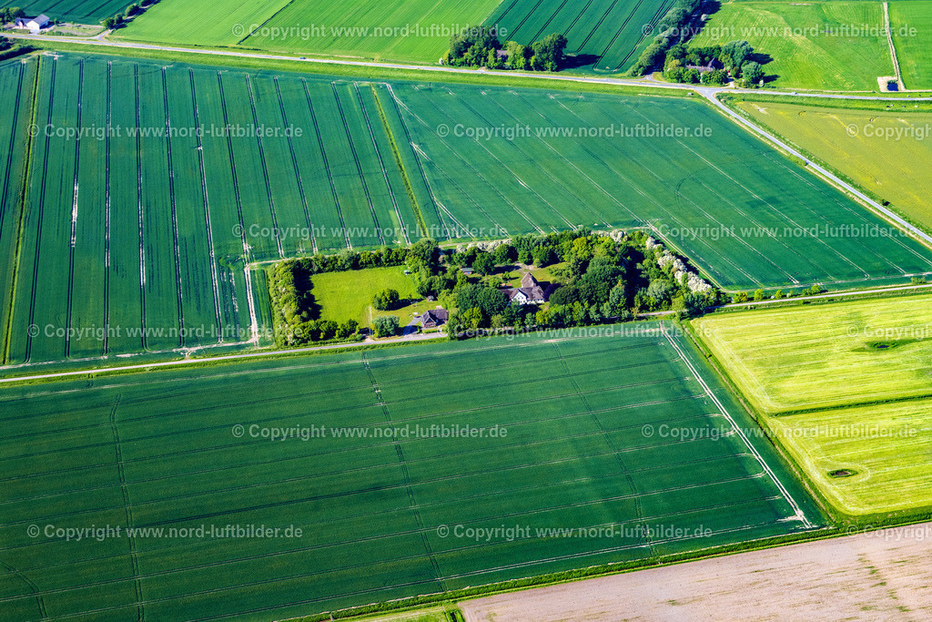 Gotteskoog Deich_Catharinenhof_ELS_0282300523 | NIEBüLL 30.05.2023 Gehöft und Bauernhof- Nebengebäude am Rand von landwirtschaftlich genutzten Feldern " Gotteskoogdeich " in Niebüll Nordfriesland im Bundesland Schleswig-Holstein, Deutschland. // Homestead and farm outbuildings on the edge of agricultural fields " Gotteskoogdeich " in Niebuell North Friesland in the state Schleswig-Holstein, Germany. Foto: Martin Elsen