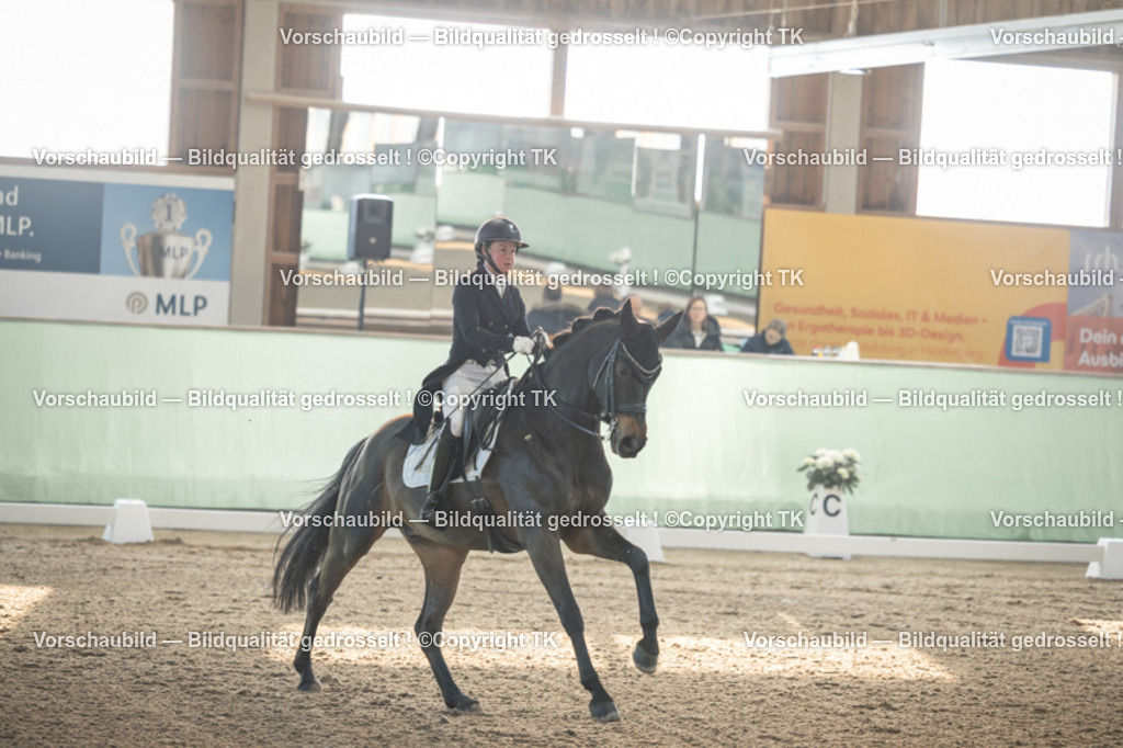 _D5A7735 | Emotionale Pferde- & People-Fotografie rund um Heidelberg, Leimen & Umgebung. Natürliche Fotos von Pferd, Mensch & Familie. Jetzt Termin sichern!