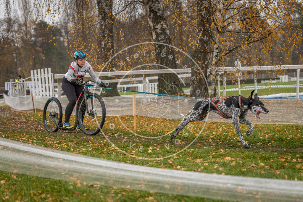 CaniXpix_DV3A7721 | Hundefotografie, Tierfotograf, Pfotenfotografie, Fotoshooting Hund, Hunde Portrait, Hundesport, Hundeportraits, Heideshooting, Hunde, Sportfotograf, Hundefotograf, Turnierhundsport, THS,  - Realisiert mit Pictrs.com