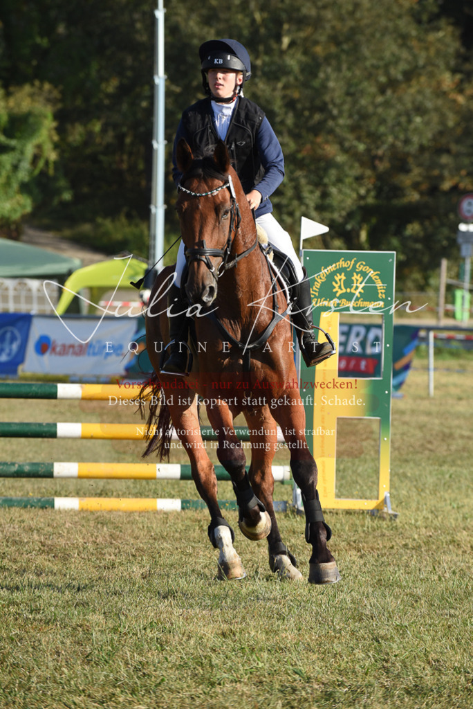 DSC_4995 | Pferde- und Turnierfotografie in Westsachsen. Pferdeportraits, Auftragszeichnungen und intuitive Kunst.
