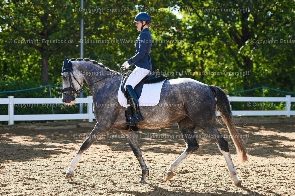 20230715_06_Dressurpferdeprfg. Kl.A_0312 | equistock