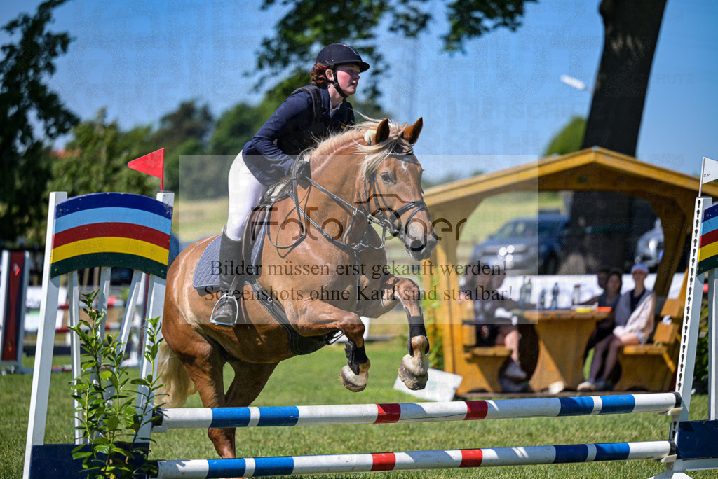Reitturnier Voxtrup | Entdecke hochwertige Reitturnierfotos von Foto Oger. Professionell, emotional und authentisch – jetzt Lieblingsmomente im Shop bestellen.Deutschlandweite Turnierfotografie. - Realisiert mit Pictrs.com