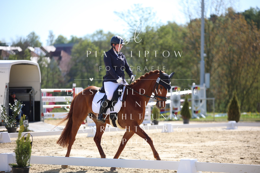 IMGT9812 | pl-fotografie