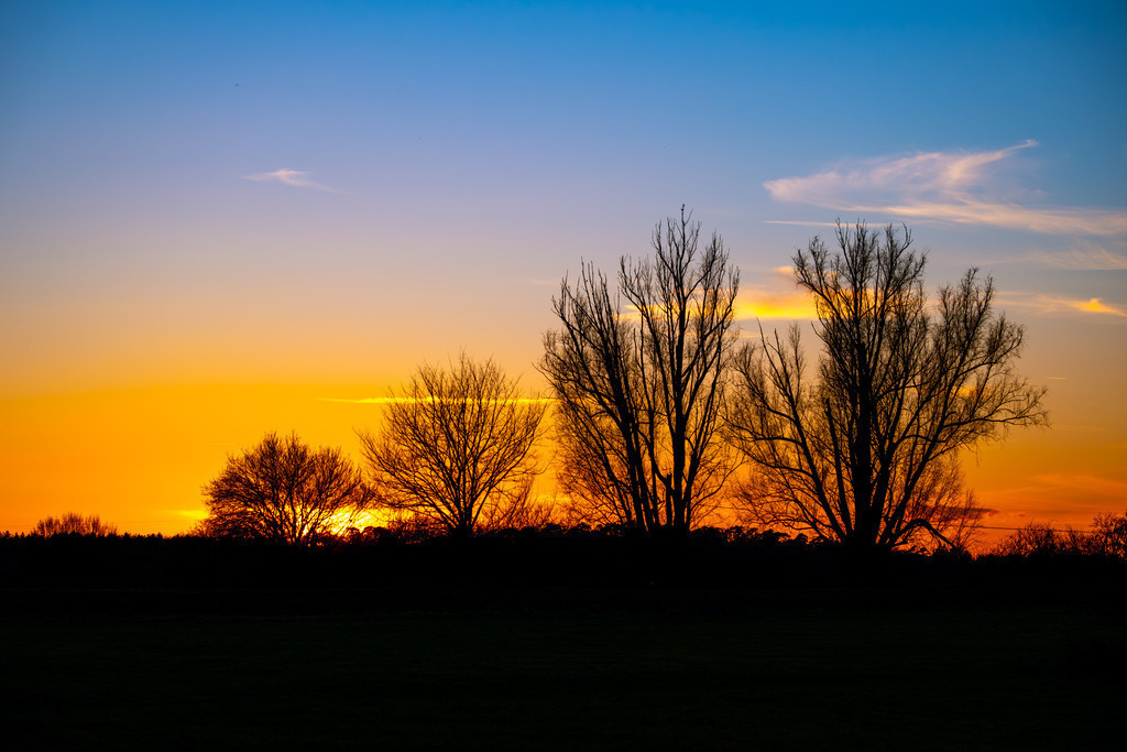 Sonnenuntergang #8 | Tier- & Landschaftsfotografie und Porträtshootings. Entdecke einzigartige Fotokunst als Wandbild, Tasse oder Mauspad – mit Leidenschaft fotografiert - Realisiert mit Pictrs.com