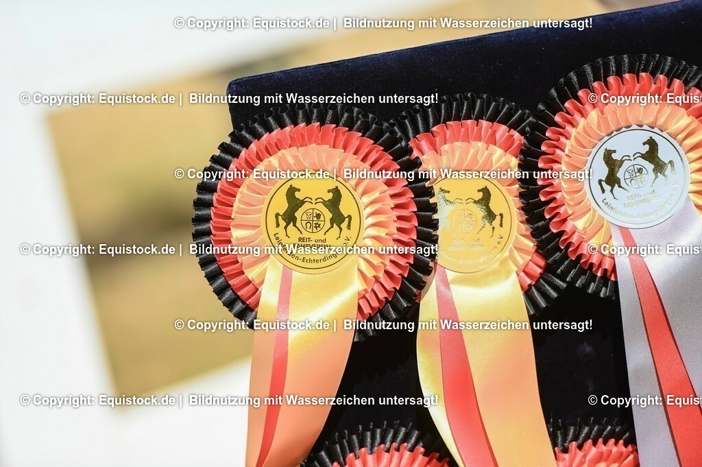 20230715_07_Dressurpferdeprfg. Kl.L_0202 | equistock