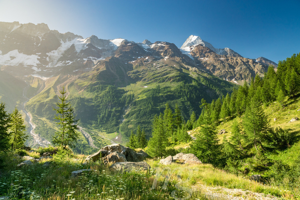 a summer morning | in the swiss alps high above Lötschental while hiking with a friend of mine - Realisiert mit Pictrs.com