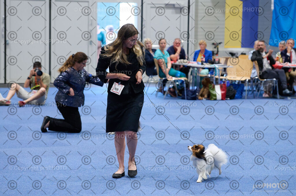 202406_ÖKV-IHA-Tulln24_DSC_3213 | proPHOTO - Realisiert mit Pictrs.com