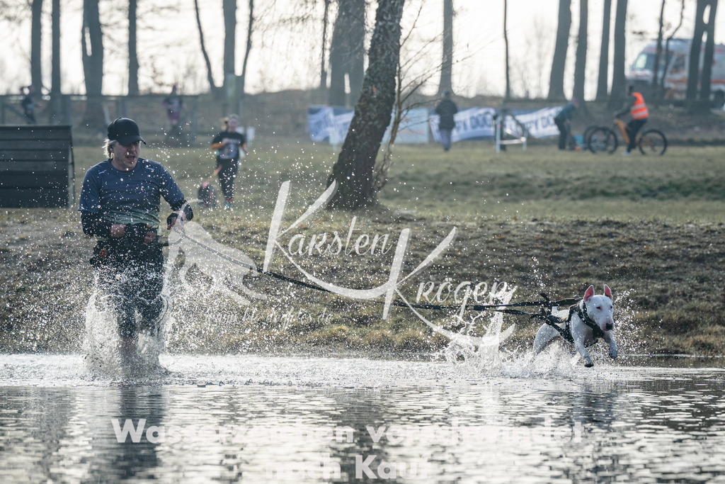 0850_ZZ98662 | kk-dogfotos
