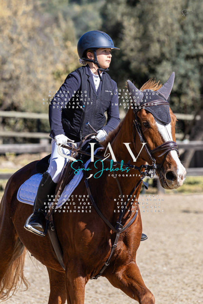 IMG_9969 (2) | s-jay-photography - Realisiert mit Pictrs.com