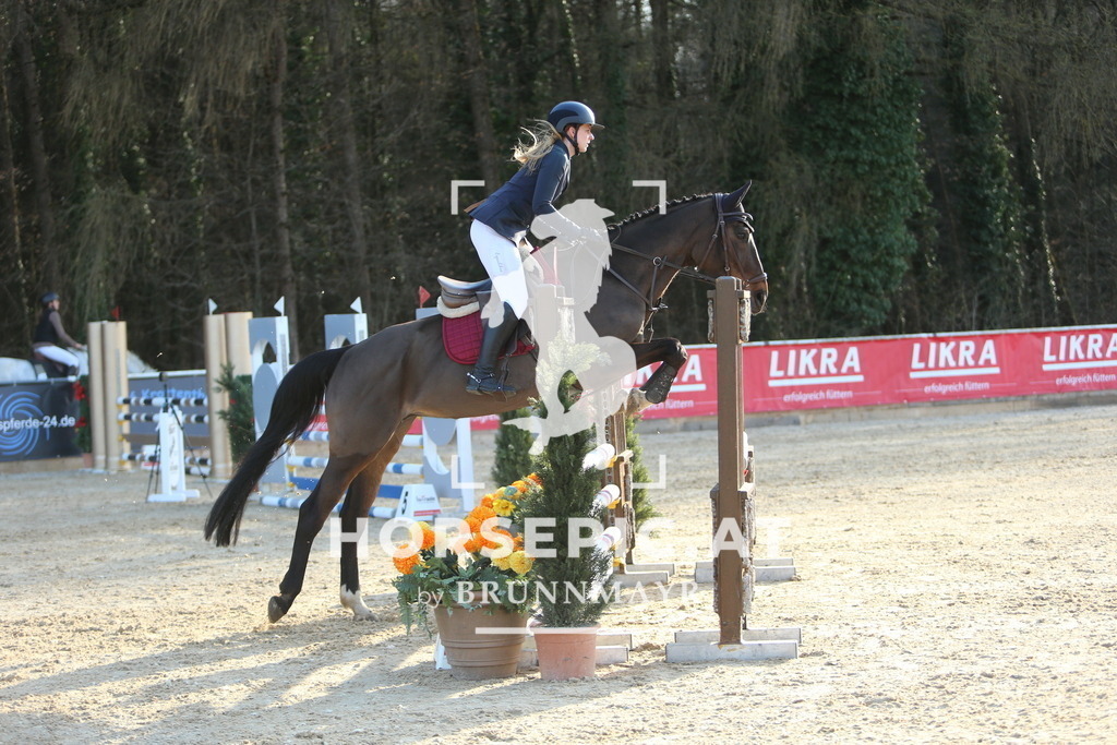 DL2Q4463 | Willkommen bei Brunnmayr - Design & Fotografie – Ihrem Spezialisten für Reitturniere und Pferdeveranstaltungen in Oberösterreich, Salzburg und Bayern! Seit über 17 Jahren sind wir leidenschaftlich dabei.