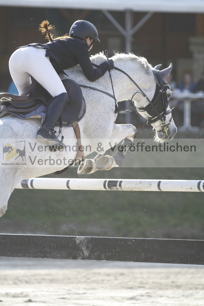 _MG_1447 | equestrian-live-com