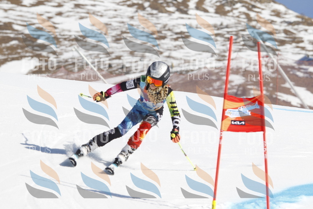 _U3G8567 | holidayphoto